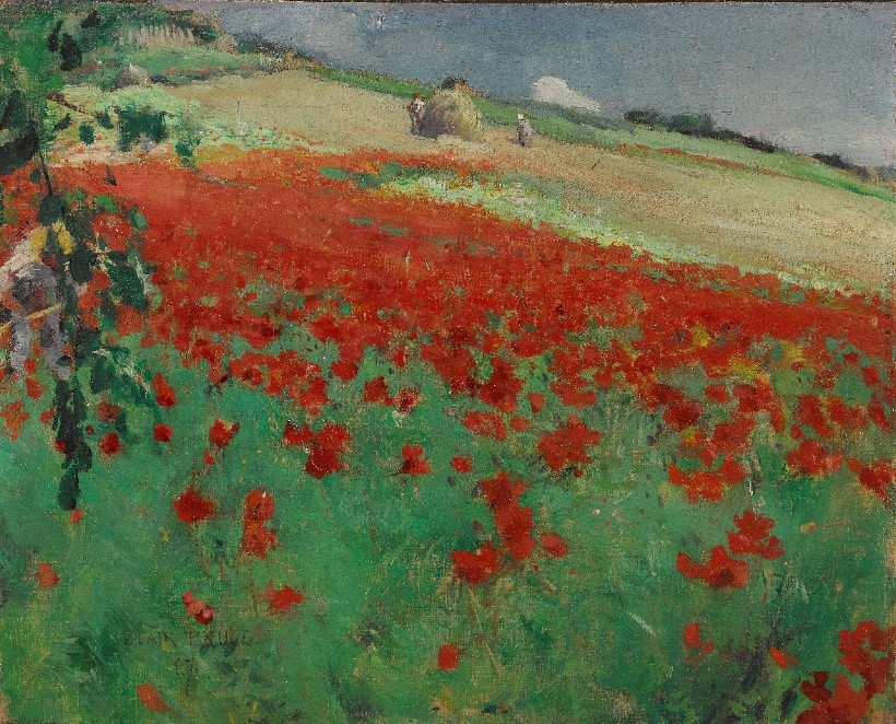 coquelicots.jpg