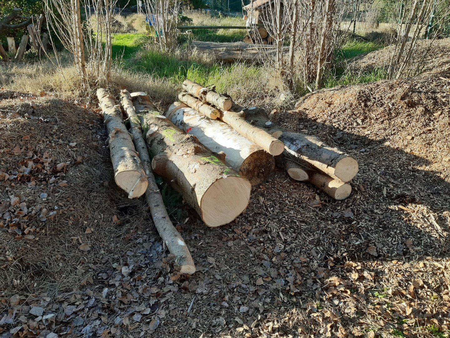 Recyclage sapin Churchill.jpg