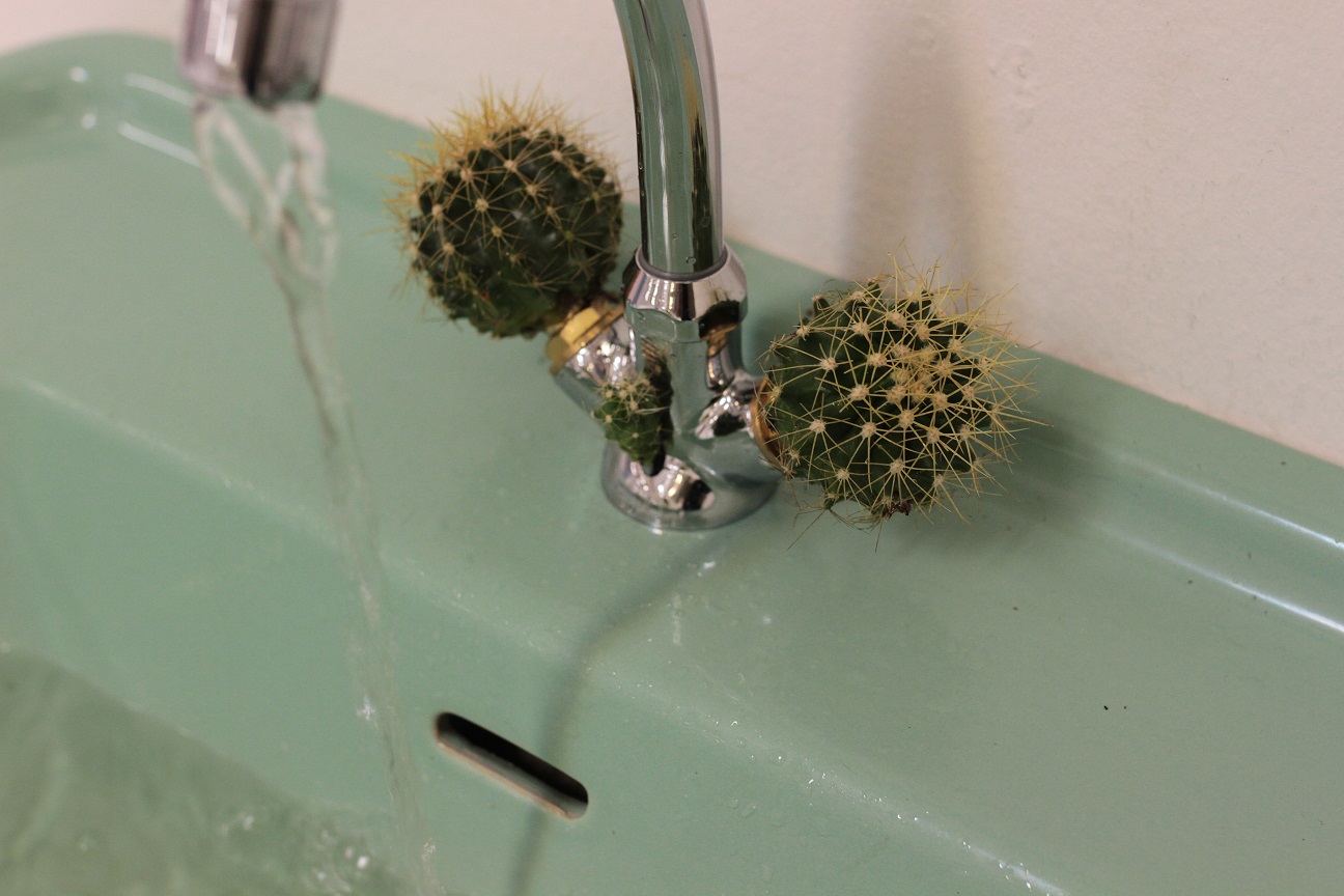 Fontaine, 2021, installation © Timothée PELLISIER.JPG