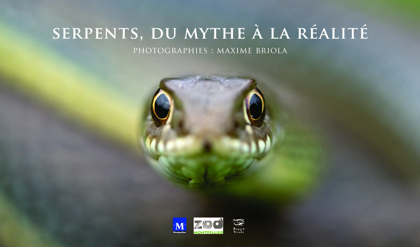 Expo Serpents.jpg