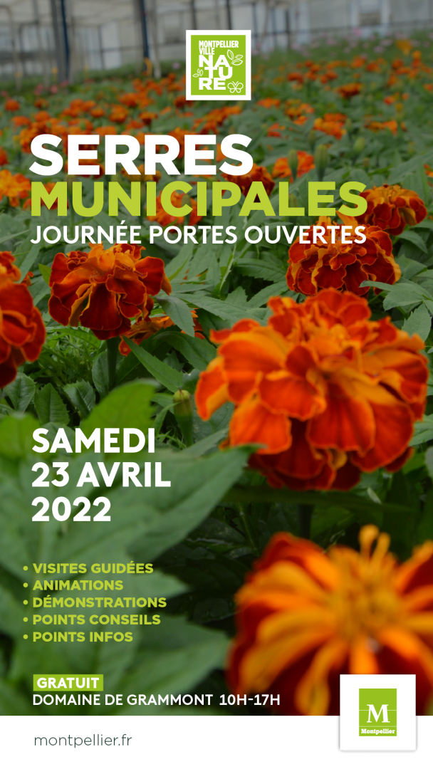 BANNER-SERRES-MUNI-1080x1920-04-22-PP.png
