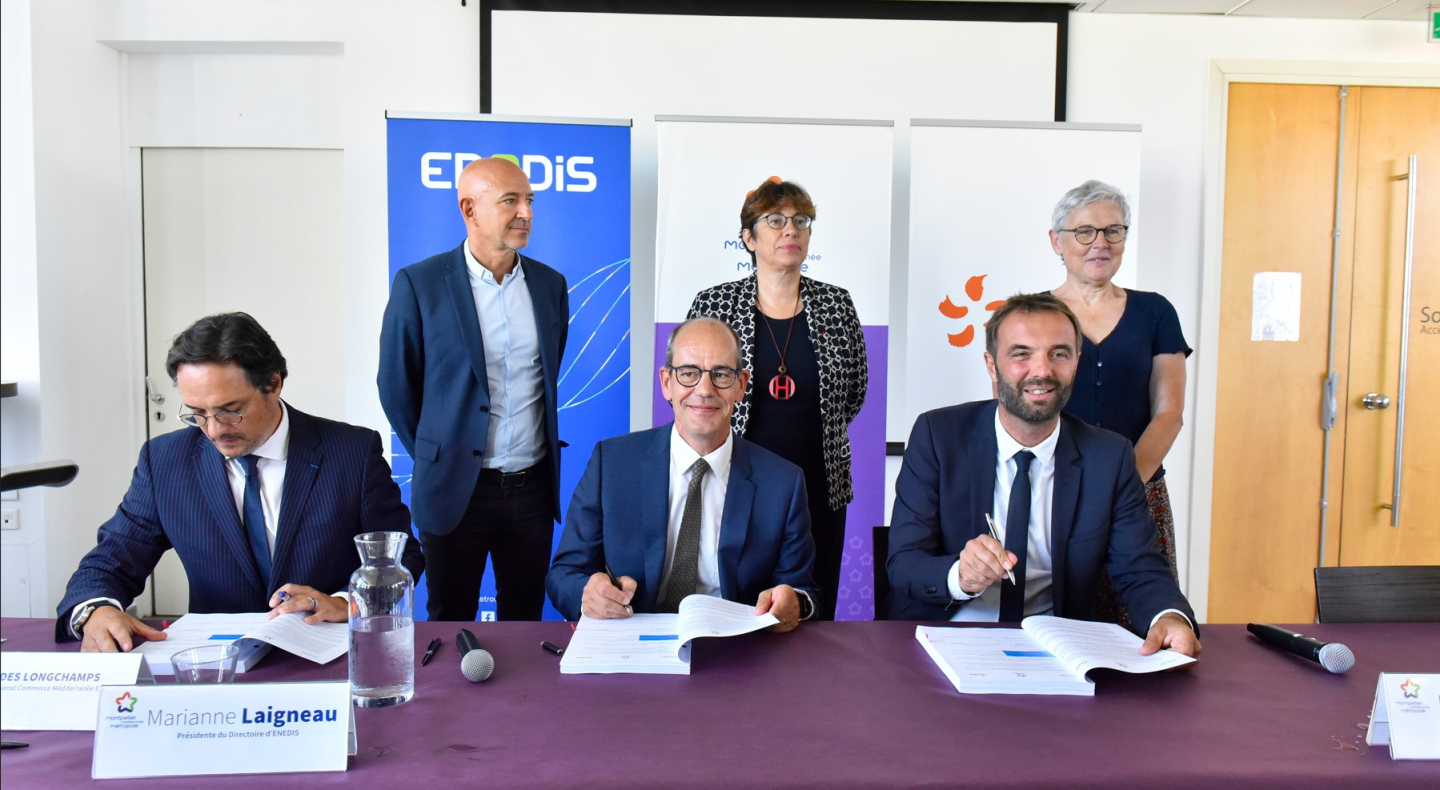 photo enedis.jpg