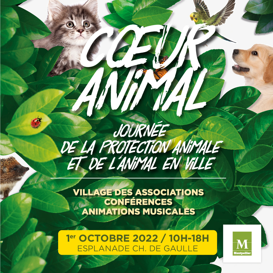 BANNER-COEUR-ANIMAL-1080x1080-09-22-PP.jpg