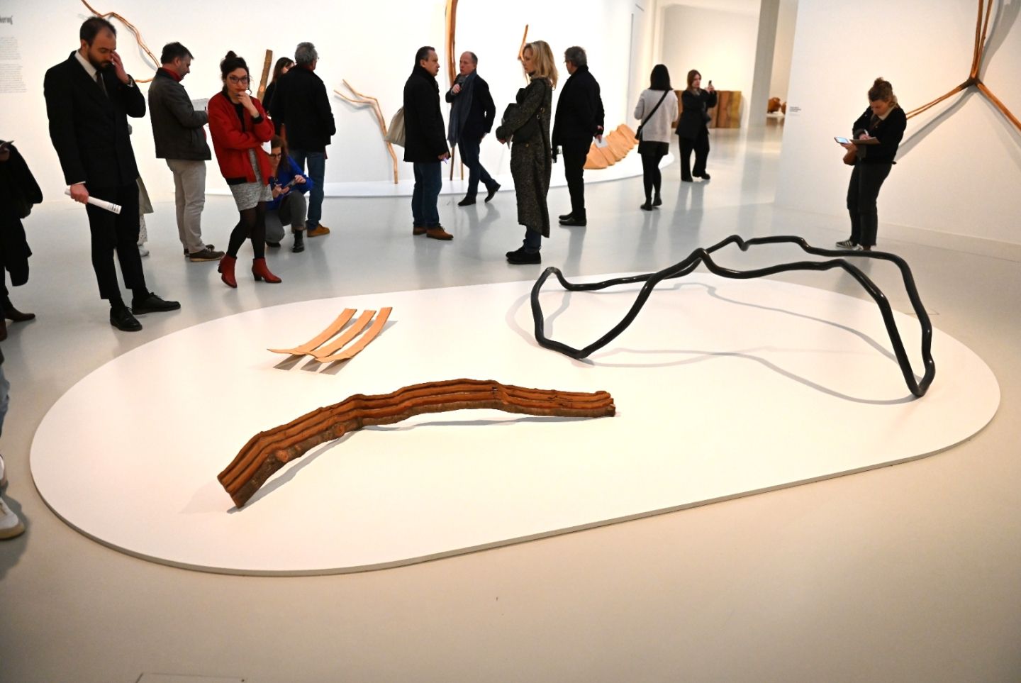 Expo Toni Grand Musée Fabre 2024 (c) L. Severac Montpellier VIlle Metropole.png