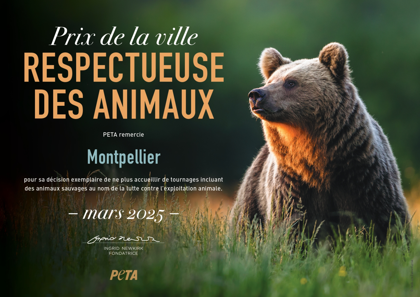 Certificat_Montpellier_A4_300_page-0001.jpg