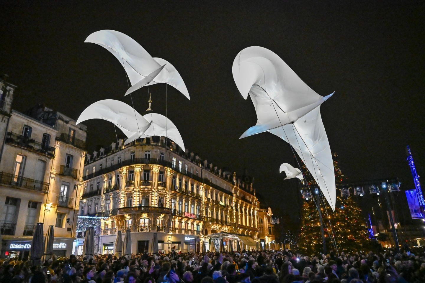 soirée L5 4.jpg