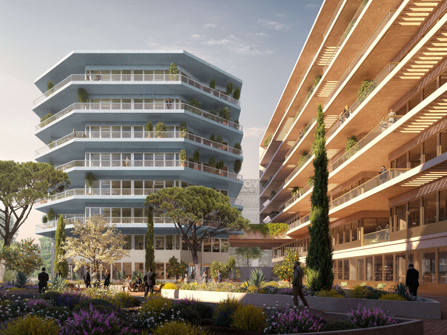VUE 2 - JARDIN.jpg
