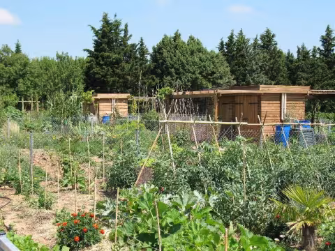 LES JARDINS FAMILIAUX DE LA VILLE DE MONTPELLIER SONT DESORMAIS ACCESSIBLES A PARTIR D'AUJOURD'HUI