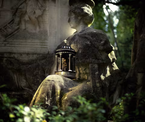 la Ville et la Métropole partenaires de l'exposition "L'humain dans son jardin", réalisée à l'occasion des 800 de la Faculté de médecine, du 10 juillet au 10 octobre, au Jardin des plantes
