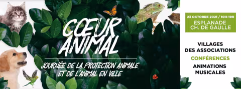Coeur animal le 23 octobre : une journée dédiée à la protection de l'animal en ville