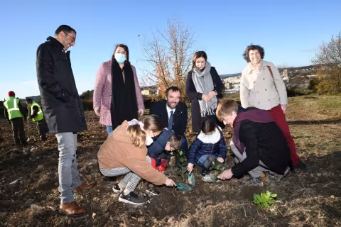L'opération "50 000" arbres pour une ville plus verte engagée par la Ville de Montpellier