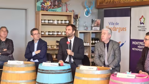 La cave coopérative "Vignerons du Bérange" de Vendargues déménage, le prélude au réinvestissement urbain des abords de la RM613