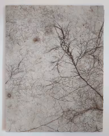 Exposition « Nature humaine » de Baptiste Loprieno Du 8 au 23 avril 2023
