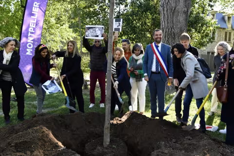 Des arbres en soutien à la révolution iranienne "Femme, Vie, Liberté"