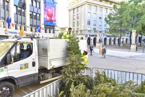 [OPERATION PARCS A SAPINS] N’abandonnez plus votre sapin dans la rue, recyclez-le !