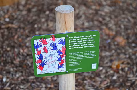 Un arbre de la laïcité planté ce matin dans la cour aventure de l'école Léo Malet à Montpellier