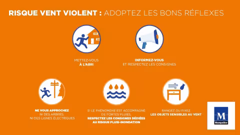 VIGILANCE JAUNE : FERMETURE DES PARCS, JARDINS, MARCHES ET DU ZOO DU LUNARET EN RAISON DES VENTS VIOLENTS
