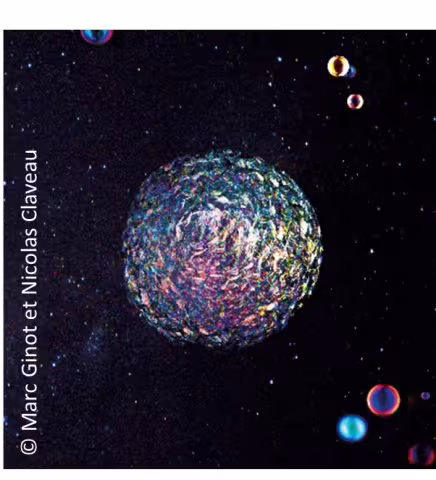 MUSIQUE – JEUNE PUBLIC - GALAXIE PROVISOIRE DIMANCHE 29 MARS 2026 À 15H AU THEATRE JEAN VILAR